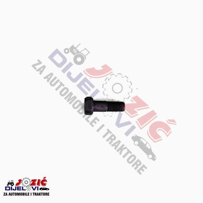 Daisy on the Ohoopee